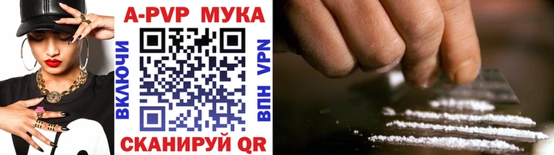 Alfa_PVP СК Бородино