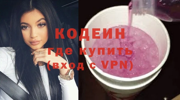 дмт Гусев