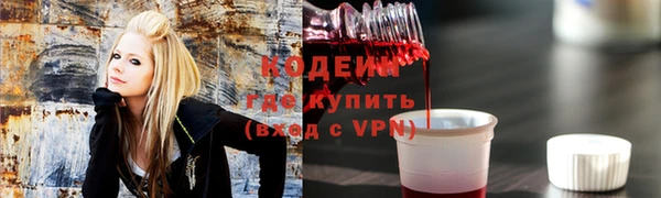 дмт Гусев