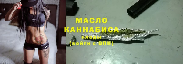 дмт Гусев