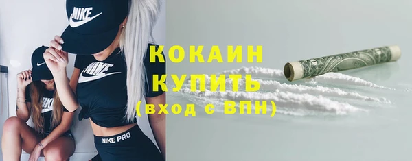 дмт Гусев