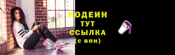 дмт Гусев