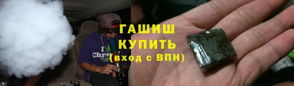 дмт Гусев