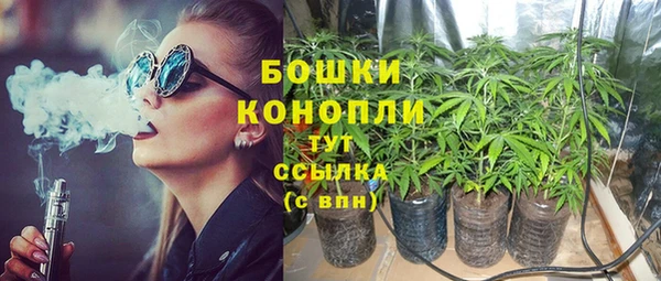 apvp Гусь-Хрустальный