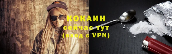 apvp Гусь-Хрустальный