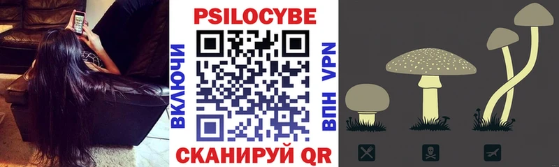 Псилоцибиновые грибы прущие грибы Бородино
