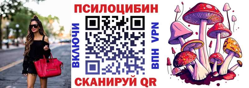 Псилоцибиновые грибы мицелий  Бородино 