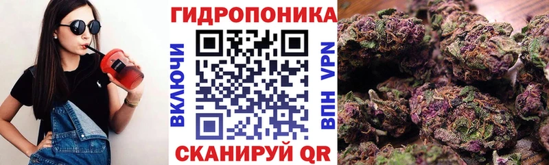 МАРИХУАНА White Widow  Бородино 